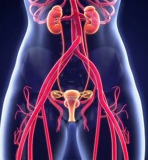 Female Urology